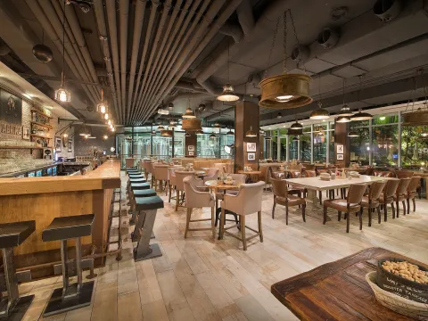 LOFT Premium & Wilson Palace